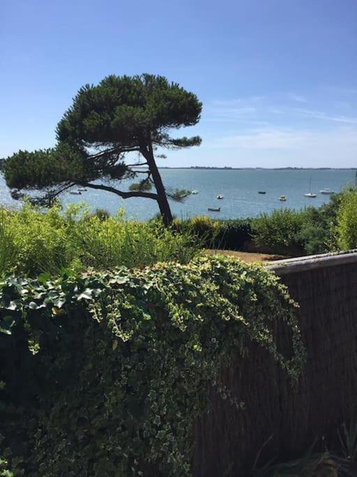 Meuble Sur L'ile De Tascon A 300 M De La Saint-Armel